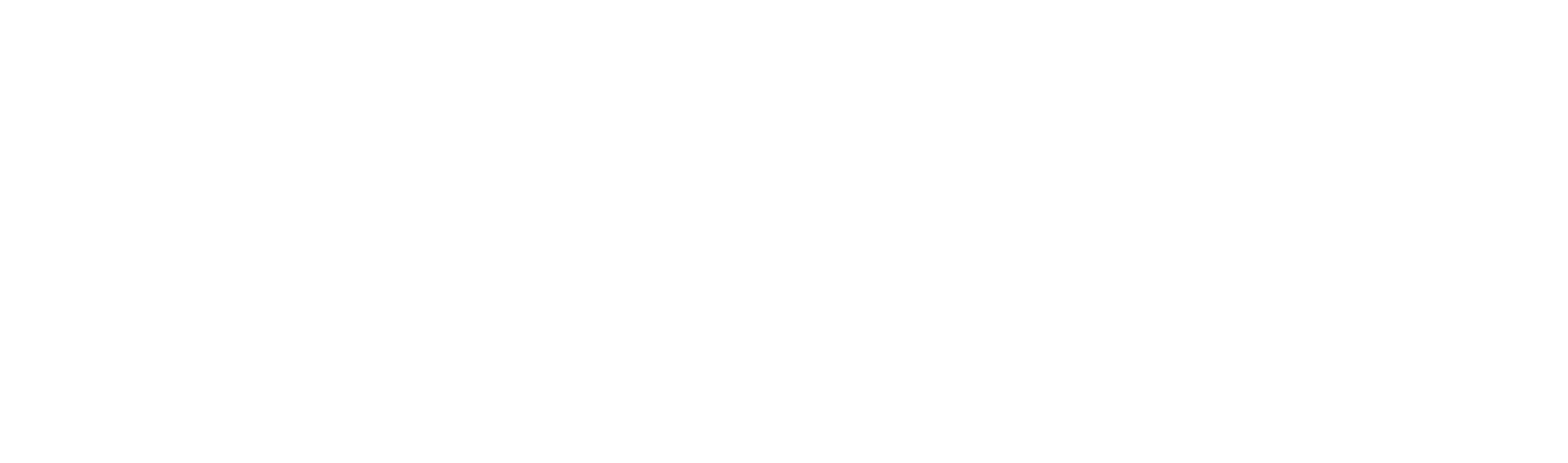 ARK Race Team